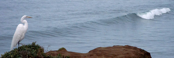 San Luis Obispo Web Design
